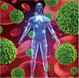 カイロプラクティック福住　免疫力